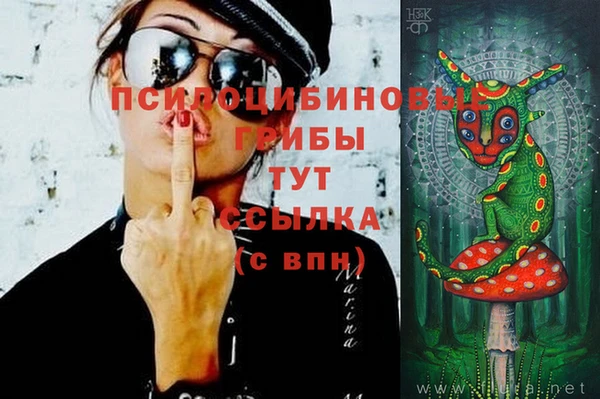 мдпв Нея