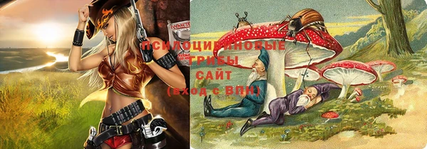 МДМА Новодвинск
