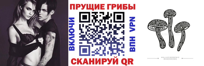 купить наркотики цена  Нефтегорск  Галлюциногенные грибы Magic Shrooms 